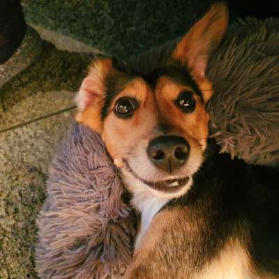 Fotochallange Nr. 57     PORTRÄT.   Beendet!!!!!!!!-Beitrag-Bild