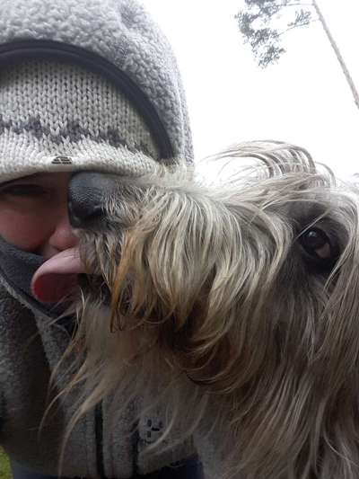 Hundmenschfotos-Beitrag-Bild