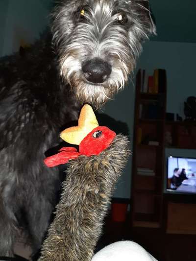 Lieblingsbild :D-Beitrag-Bild