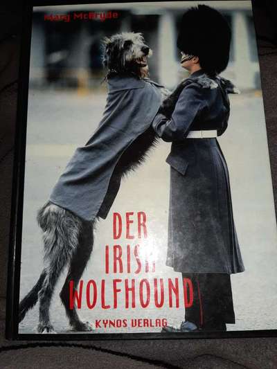 Irische Wolfshunde Hilfe-Tipps-Tricks-Beitrag-Bild