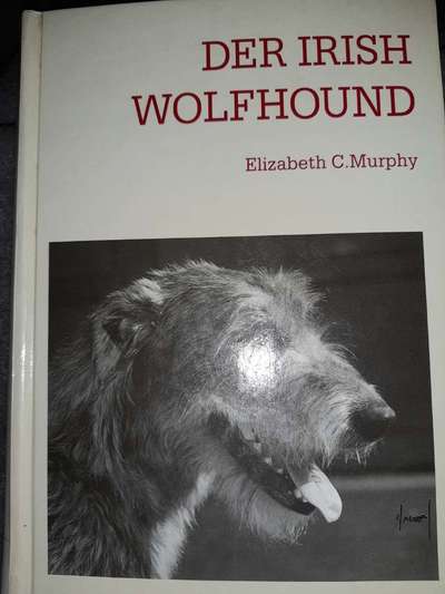 Irische Wolfshunde Hilfe-Tipps-Tricks-Beitrag-Bild