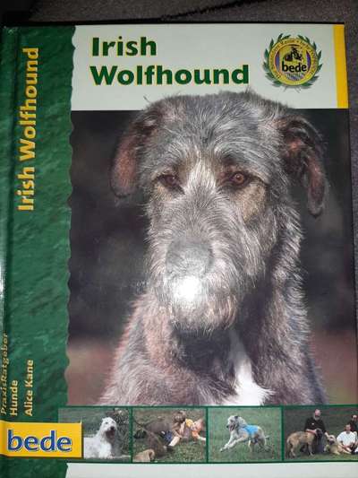 Irische Wolfshunde Hilfe-Tipps-Tricks-Beitrag-Bild