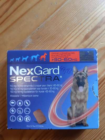 BRAVECTO-Beitrag-Bild