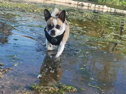 Fotowettbewerb Natur-Beitrag-Bild