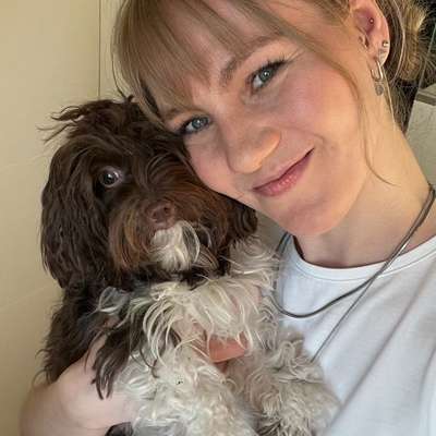 Hundetreffen-Suche Instagram Buddy - Dachau - Hundeaccount - Content Creation-Bild