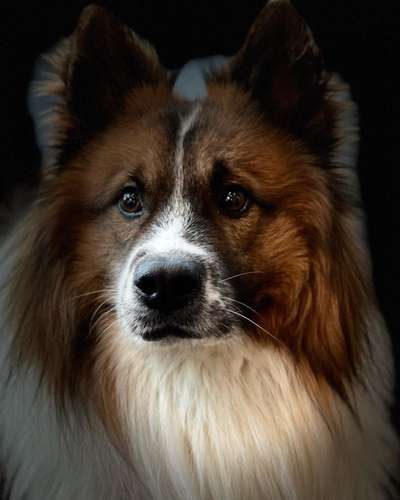 Fotochallange Nr. 57     PORTRÄT.   Beendet!!!!!!!!-Beitrag-Bild