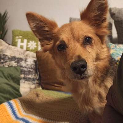 Winterjacke?-Beitrag-Bild