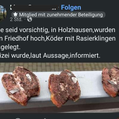 Giftköder-Präpariertes Fleisch mit Rasierklingen-Bild