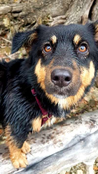 Fotochallange Nr. 57     PORTRÄT.   Beendet!!!!!!!!-Beitrag-Bild