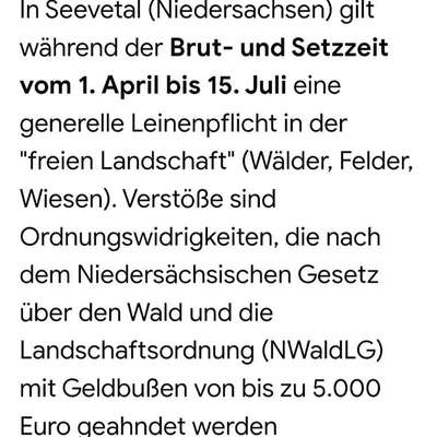 Leinenpflicht – nervige Einschränkung oder sinnvoller Schutz?-Beitrag-Bild