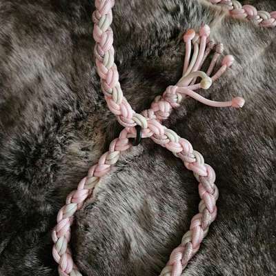 Paracord Halsband Leine Set-Beitrag-Bild