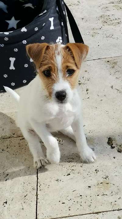 Zeigt eure Portraits-Beitrag-Bild