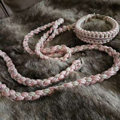 Paracord Halsband Leine Set-Beitrag-Bild