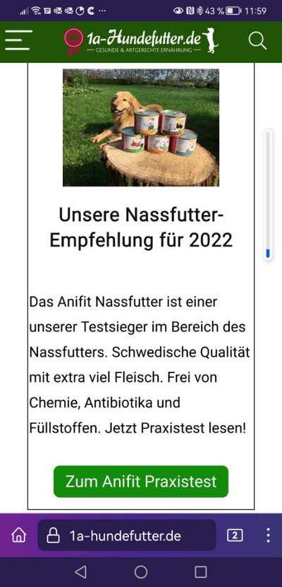 Hochwertiges / Bedarfsgerechtes Nassfutter (ohne Barfen), welches nur?-Beitrag-Bild