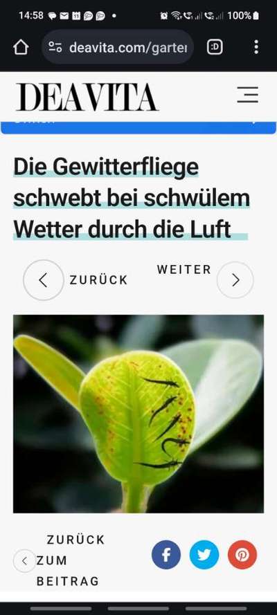 Welches Tier ist das?-Beitrag-Bild