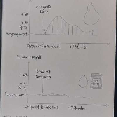 Hund muss abnehmen - wo kann ich noch einsparen?-Beitrag-Bild