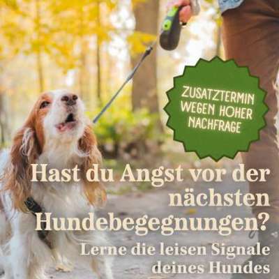 aktuelles Foto Gruppe Kostenlose Webinare, Kurse und Challenges