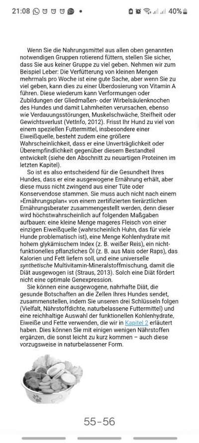 Empfindlichkeit von Hundemägen-Beitrag-Bild