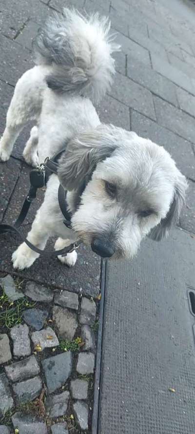 Vor dem Friseur - nach dem Friseur-Beitrag-Bild