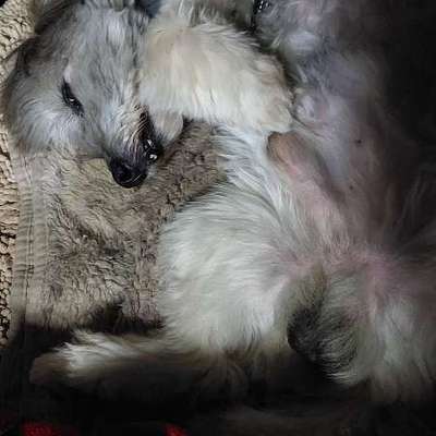 Kann Kuscheln erlernbar sein?-Beitrag-Bild