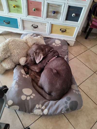 Lieblingsbild-Beitrag-Bild