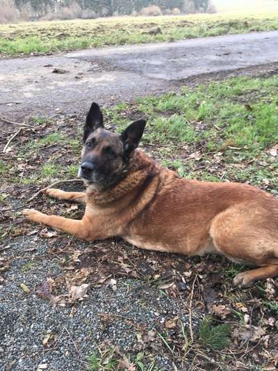 Unsere Sternchen ******-Beitrag-Bild