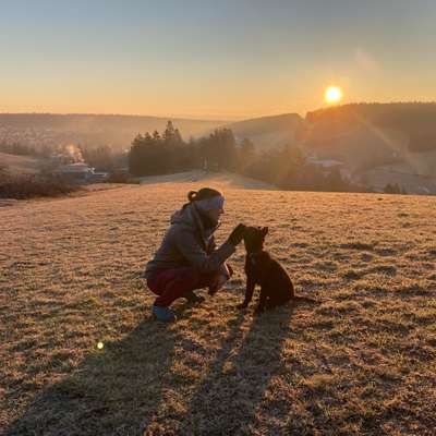 Hundetreffen-Welpentreffen in Unterkirnach und Umgebung