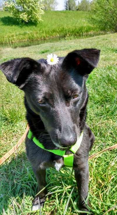 Fotochallange Nr. 57     PORTRÄT.   Beendet!!!!!!!!-Beitrag-Bild