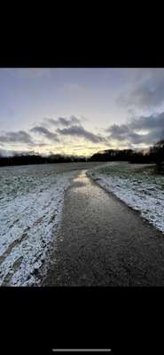 Hundeauslaufgebiet-Einhausring-Bild