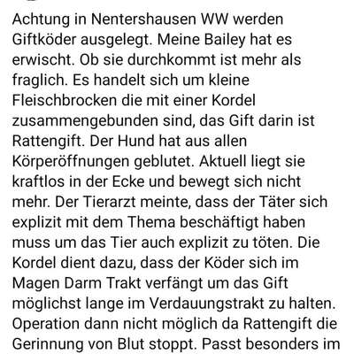 Giftköder-Giftköder-Bild