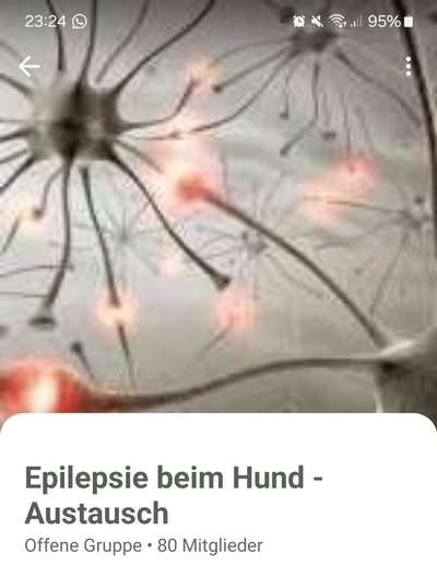 Epilepsie-Beitrag-Bild