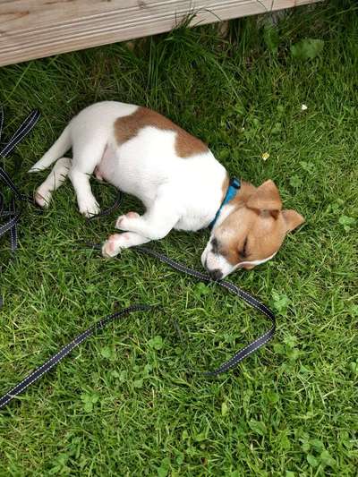 Lieblingsbild-Beitrag-Bild