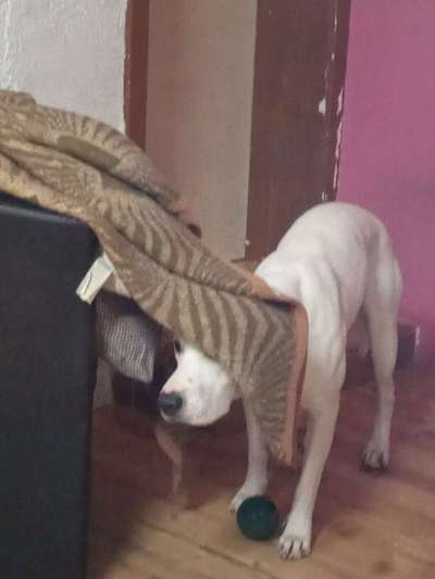 Lustige Bilder-Beitrag-Bild