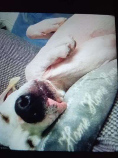 Die unbequemsten und lustigsten Schlafpositionen-Beitrag-Bild