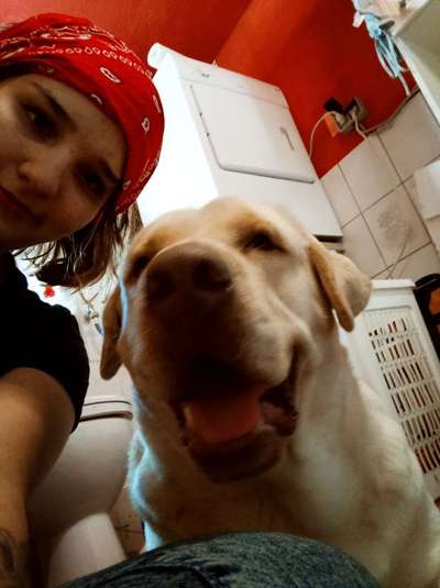 Immer lächeln !-Beitrag-Bild