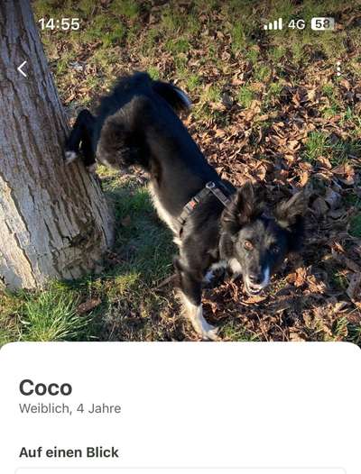 TRICK CHALLENGE NUMMER 30 " ZURÜCK "-Beitrag-Bild