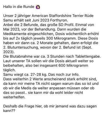 Schilddrüse-Beitrag-Bild