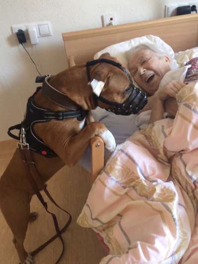 Zeigt her...-Beitrag-Bild