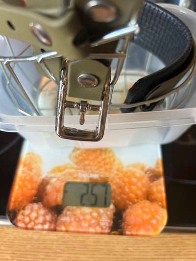 Wie sitzt mein Maulkorb / Maulkorb-Beratung-Beitrag-Bild