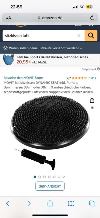 37. Trick-Challenge: Pinguin-Lauf-Beitrag-Bild