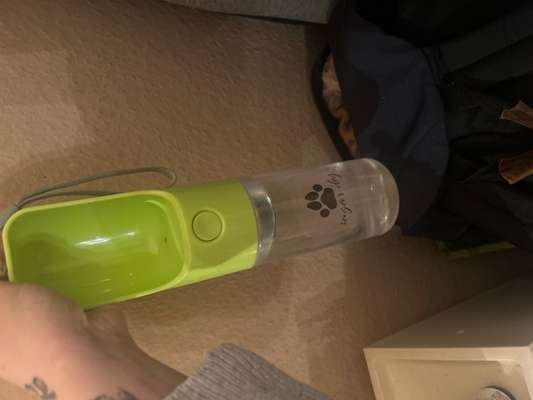 Rucksack für den Hund-Beitrag-Bild