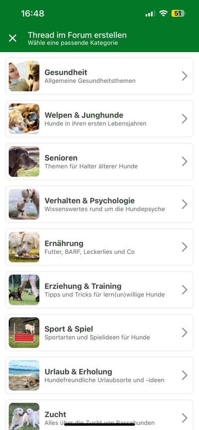 Impulskontrolle Challenge Nr. 21: Minenfeld-Beitrag-Bild