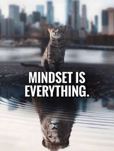 Hunde Memes-Beitrag-Bild