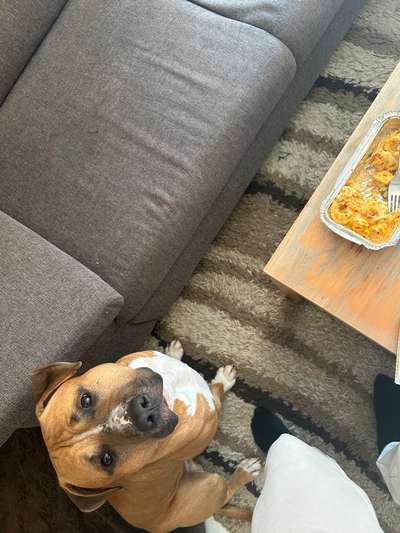 Impulskontrolle Challenge Nr 9 "Unbeobachtet"-Beitrag-Bild