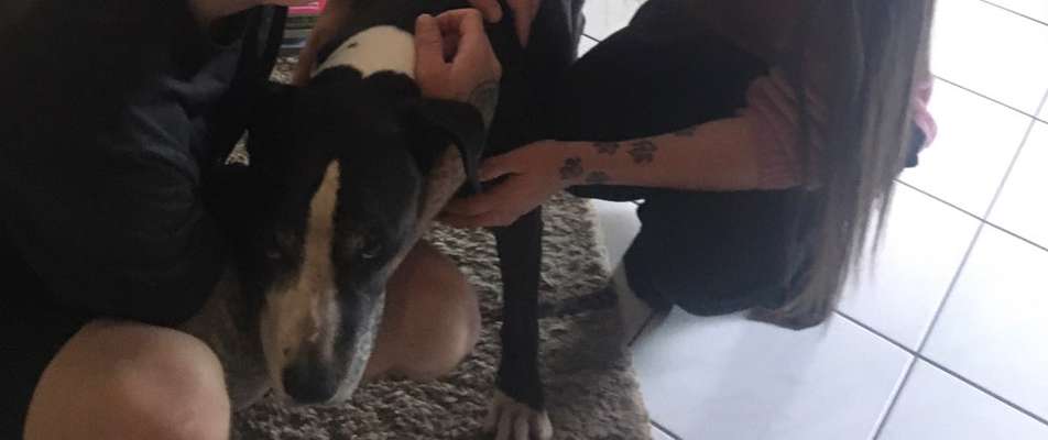 Erinnerungs Tattoos-Beitrag-Bild