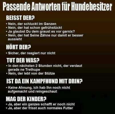 Hunde Memes-Beitrag-Bild