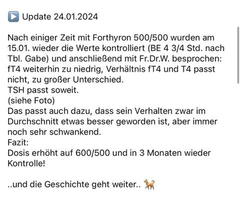 Schilddrüse-Beitrag-Bild