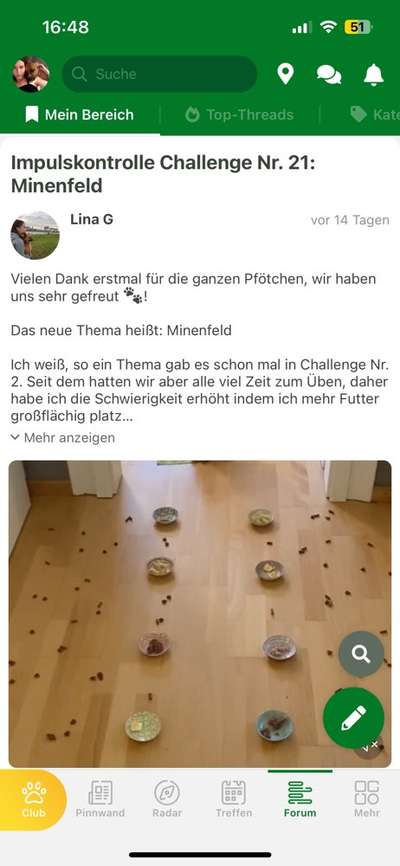 Impulskontrolle Challenge Nr. 21: Minenfeld-Beitrag-Bild