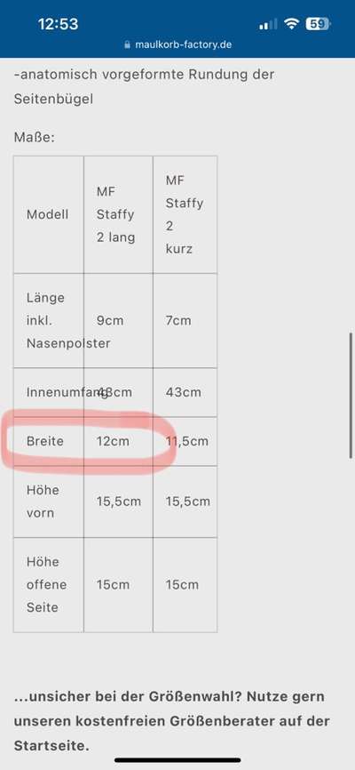 Wie sitzt mein Maulkorb / Maulkorb-Beratung-Beitrag-Bild