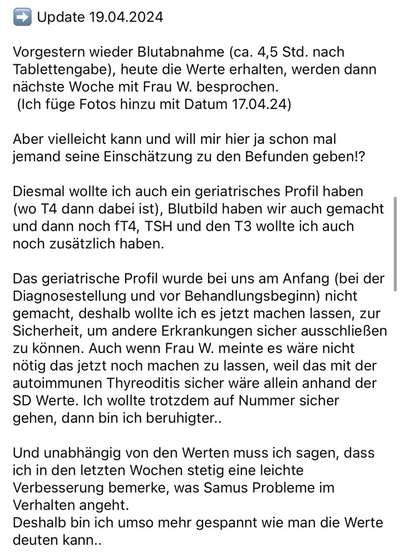 Schilddrüse-Beitrag-Bild